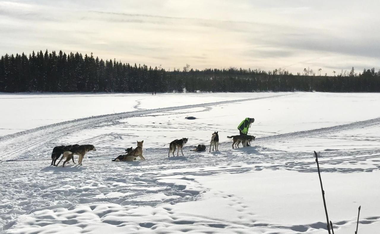 Symaskinshuset Jaervsoe ภายนอก รูปภาพ